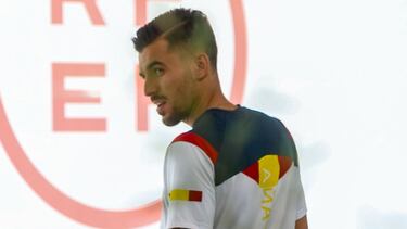 La lesi車n de Ceballos