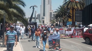 Marcha por la preservación de los animales: ruta, calles cerradas y vías alternas