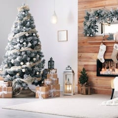 ¿Cuándo se pone el árbol de Navidad en México?: esta es la fecha exacta para decorar