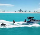 Wakesurf con delfines en las Islas Turcas y Caicos