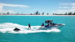 Entra&ntilde;able v&iacute;deo de wakesurf con delfines en la isla privada de Cayo Pine, perteneciente a las Islas Turcas y Caicos.