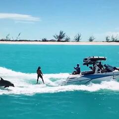 Wakesurf con delfines en las Islas Turcas y Caicos