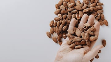 Almonds are one of the most nutritious nuts, considered a powerful antioxidant that contributes to the protection of our cardiovascular and immune systems.