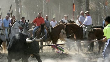 GRA130. VALLADOLID, 28/06/2016.- Fotograf&iacute;a de archivo (12/09/2006) durante la celebraci&oacute;n del torneo medieval del Toro de la Vega, en Tordesillas (Valladolid). La Delegaci&oacute;n Territorial de la Junta de Castilla y Le&oacute;n en Valladolid ha denegado al Ayuntamiento de Tordesillas la autorizaci&oacute;n para celebrar el pr&oacute;ximo 13 de septiembre el torno del Toro de la Vega cumpliendo as&iacute; el decreto ley que impide la muerte del astado. El pasado 20 de junio, el Ayuntamiento de Tordesillas, con la firma de su alcalde, Jos&eacute; Antonio Gonz&aacute;lez Poncela (PSOE), registr&oacute; ante la Junta de Castilla y Le&oacute;n la solicitud para celebrar, el pr&oacute;ximo mes de septiembre, una nueva edici&oacute;n del tradicional torneo del Toro de la Vega. EFE/Ricardo Su&aacute;rez