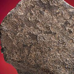 Subastan uno de los meteoritos más grandes de Marte