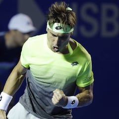 David Ferrer bate a Rublev en Acapulco e Isner se despide