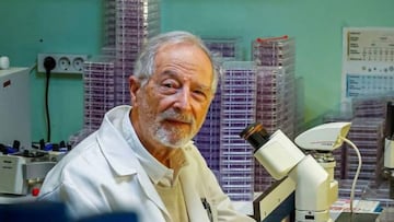 Enjuanes desvela cada cuánto habrá que "actualizar" la vacuna de la COVID