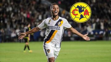 Miguel Herrera no cierra puerta del América a Giovani dos Santos