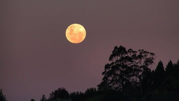 Luna del Cazador: cuándo es y cómo ver en directo la luna llena de octubre 2021