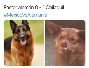A esto recurrió la afición para triunfo ante Alemania
