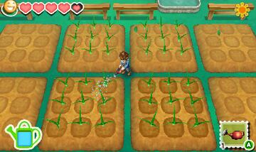 Captura de pantalla - Story of Seasons (3DS)