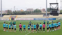 Dos gallitos con resaca