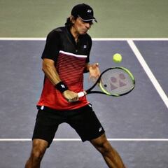 Peralta y González desafiarán a los Bryan en Amberes