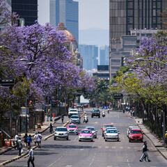 Coronavirus en CDMX: cómo acceder a las ayudas y microcréditos