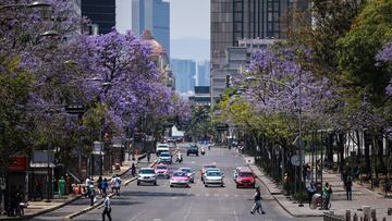 Coronavirus en CDMX: cómo acceder a las ayudas microcrédito