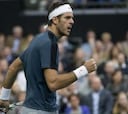 Del Potro, clasificado para la final de Rotterdam
