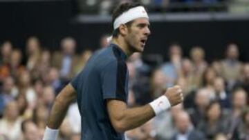 El tenista argentino Juan Martin Del Potro se cuela en la final del Torneo de Rotterdam al imponerse al búlgaro Grigor Dimitrov, y jugará su segunda final consecutiva.