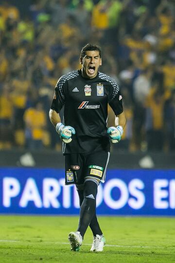 Tigres - Argentina