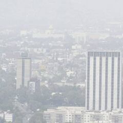 Doble Hoy No Circula: ¿Qué carros no podrán circular?