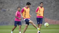 "Valoro como un premio el interés de Del Bosque"