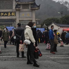 López Acuña: "No puede descartarse una manipulación del virus en un laboratorio y que escapara"