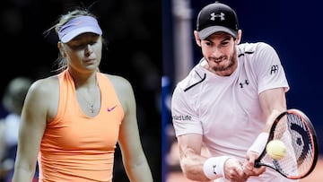 Andy Murray critic&oacute; que los torneos del Grand Slam quieran concederle invitaciones para competir a Maria Sharapova.