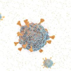 Perro del infierno, nueva variante de COVID: Síntomas, qué tan contagiosa es y cuántos casos hay en México