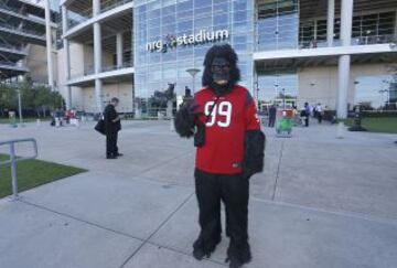 Y hablando de monos, aqu¨ª tenemos uno que es fan de J.J. Watt y los Texans. Su parecido con la mascota de los Phoenix Suns de la NBA es m¨¢s que sospechoso.