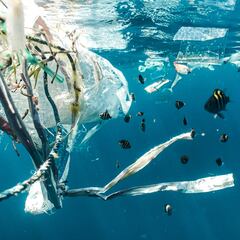 A 16-year-old boy builds a trash-eating robot to save the oceans and ends up becoming the UN’s youngest ‘Champion of the Earth’