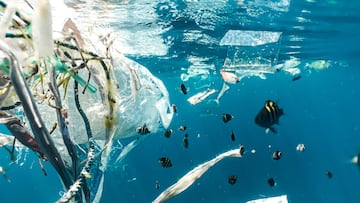 With no investors, no credentials, and just $300 in savings, this teenager decided to clean the ocean... and somehow, it worked.