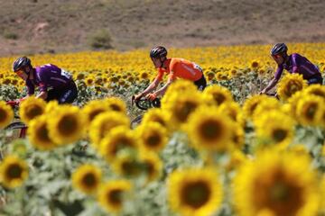 Carlos Canal, Ángel Madrazo y Joan Bou ruedan por los típicos campos de girasoles castellanos durante su escapada rumbo a Molina de Aragón.