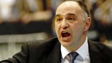 <strong>PABLO LASO.</strong>