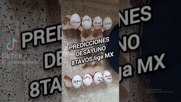 La predicción de los huevos da como campeón de la Liga MX al Atlético de San Luis