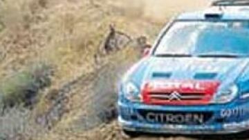 <b>BUEN TRABAJO. </b>Xevi Pons volverá a puntuar para su equipo.