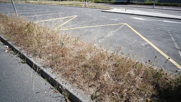Fotos del estado de abandono en las inmediaciones del campo de futbol del Anxo Carro en Lugo.