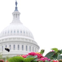 Second stimulus check: will there be a new payment in November?