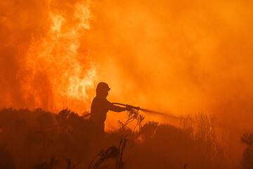 Dos incendios desatados en la provincia de Ávila han provocado la evacuación de los municipios de Riofrío, Sotalbo, Villaviciosa, Palacios y Robledillo, además de quemar 10.000 hectáreas. La situación ha obligado la intervención de la Unidad Militar de Emergencias. 