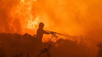 El Departamento de Bomberos del Condado de Osceola alerta sobre un incendio masivo registrado en un vivero de Kissimmee, en Florida. Aquí los detalles.