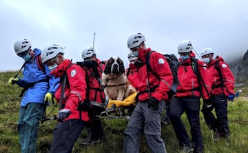 Dieciséis voluntarios acudieron al rescate de Daisy, una perra San Bernardo de 55 kilos, en el Scafell, uno de los picos más altos de Inglaterra. Un episodio insólito para el miembro de una raza famosa por rescatar a los humanos afectados de los peligros helados de los altos Alpes.