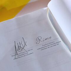 Cómo y dónde votar en el plebiscito por la paz