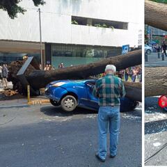 Qué pasó en Avenida Insurgentes Sur y por qué cerraron estaciones de Metrobús