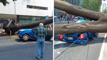 Qué pasó en Avenida Insurgentes Sur y por qué cerraron estaciones de Metrobús