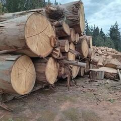 Empresario chileno confiesa haber pagado 130 millones de pesos a grupo armado con uzis en La Araucanía y quedó en libertad