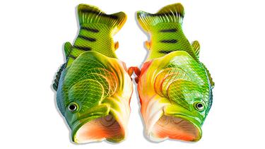 Estas son las chanclas de pez originales que son tendencia en las redes