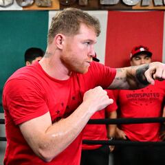 Canelo Álvarez to have an easy fight in May and Dmitry Bivol in September