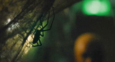 De una invasión arácnida a una posesión demoniaca: así es el spin off de ‘Evil Dead’