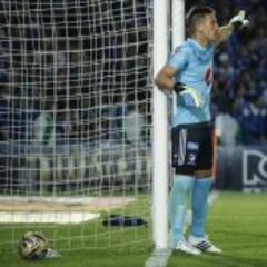 Vikonis: “Me equivoqué, debo controlarme y no protestar”