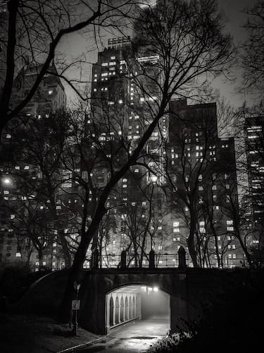 © IPPAWARDS - Carol Addassi - United States