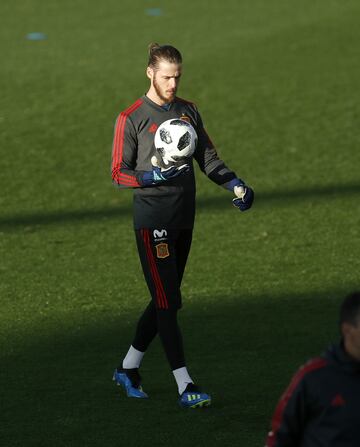 David de Gea.