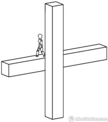 Echochrome, Impresiones